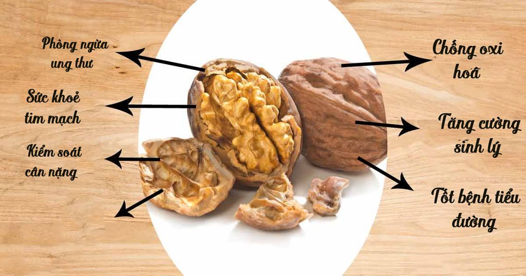 sống vui sống khỏe khi có quả óc chó.jpeg